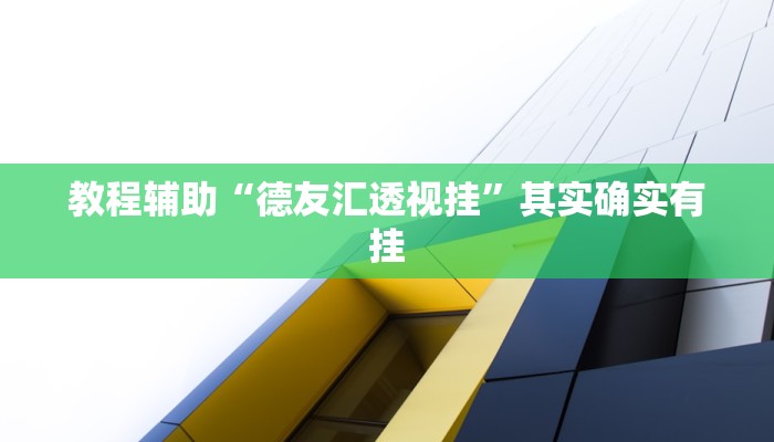 教程辅助“德友汇透视挂”其实确实有挂