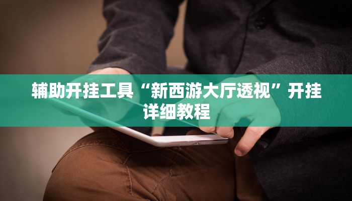 辅助开挂工具“新西游大厅透视”开挂详细教程 辅助开挂工具“新西游大厅透视”开挂详细教程