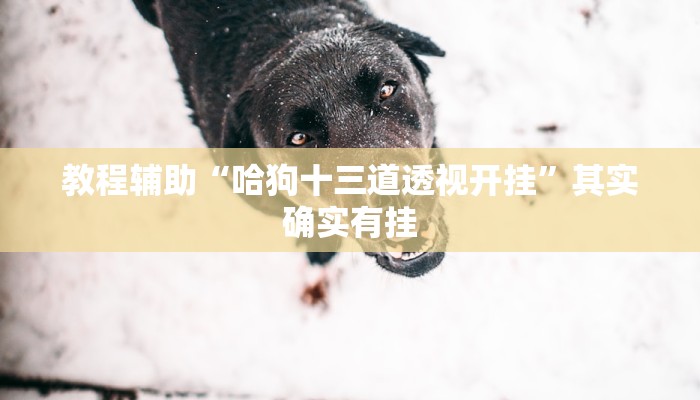 教程辅助“哈狗十三道透视开挂”其实确实有挂 教程辅助“哈狗十三道透视开挂”其实确实有挂