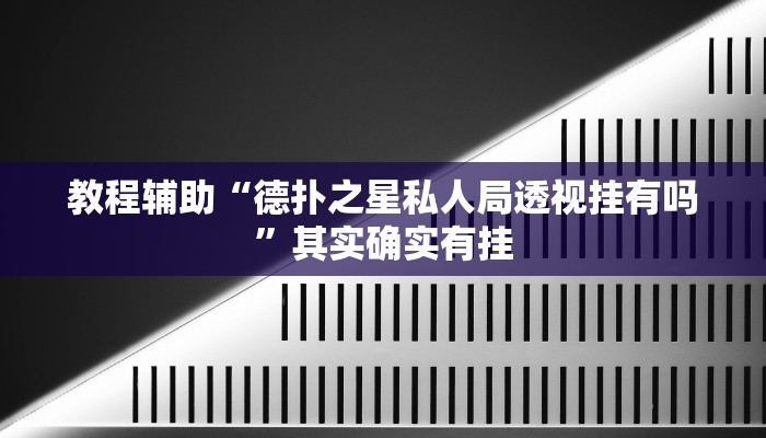 教程辅助“德扑之星私人局透视挂有吗”其实确实有挂