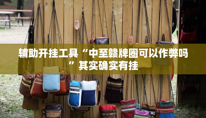 辅助开挂工具“中至赣牌圈可以作弊吗”其实确实有挂