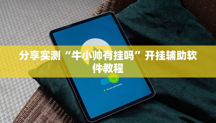 分享实测“牛小帅有挂吗”开挂辅助软件教程