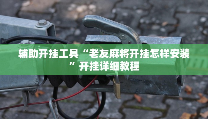 辅助开挂工具“老友麻将开挂怎样安装”开挂详细教程