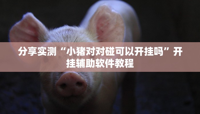 分享实测“小猪对对碰可以开挂吗”开挂辅助软件教程
