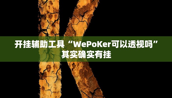 开挂辅助工具“WePoKer可以透视吗”其实确实有挂 开挂辅助工具“WePoKer可以透视吗”其实确实有挂