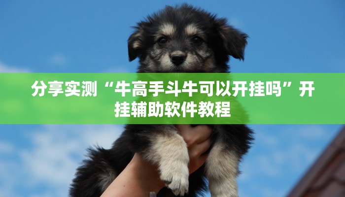 分享实测“牛高手斗牛可以开挂吗”开挂辅助软件教程 分享实测“牛高手斗牛可以开挂吗”开挂辅助软件教程