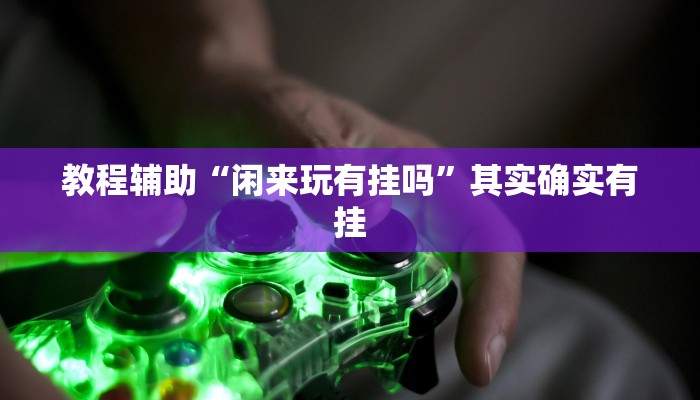 教程辅助“闲来玩有挂吗”其实确实有挂 教程辅助“闲来玩有挂吗”其实确实有挂