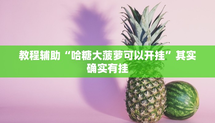 辅助开挂工具“火拼耍大牌有挂没”开挂(透视)辅助神器