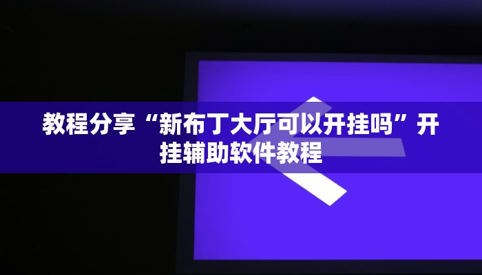 教程分享“新布丁大厅可以开挂吗”开挂辅助软件教程