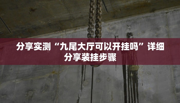 辅助神器“乐酷副厅确实有透视挂”开挂详细教程