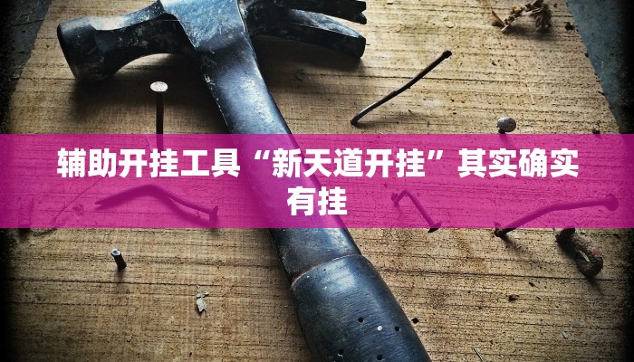 辅助开挂工具“wepoker德州透视挂软件”开挂详细教程