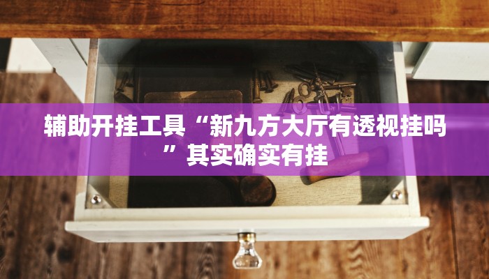 辅助开挂工具“新九方大厅有透视挂吗”其实确实有挂