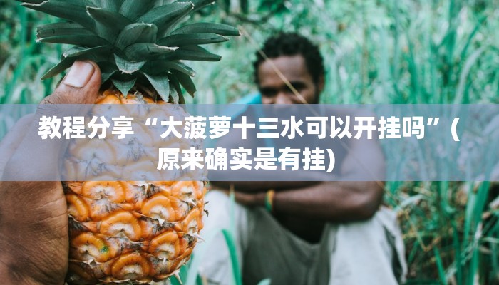 教程分享“大菠萝十三水可以开挂吗”(原来确实是有挂) 