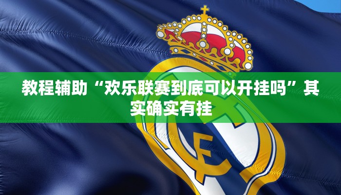 教程辅助“欢乐联赛到底可以开挂吗”其实确实有挂