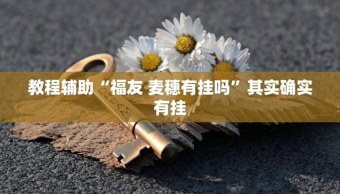 教程辅助“福友 麦穗有挂吗”其实确实有挂