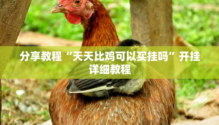 分享教程“天天比鸡可以买挂吗”开挂详细教程 分享教程“天天比鸡可以买挂吗”开挂详细教程