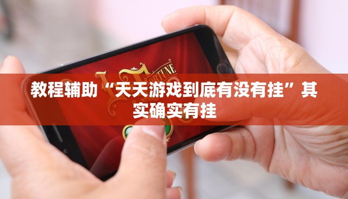 教程辅助“天天游戏到底有没有挂”其实确实有挂