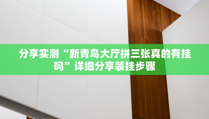 分享实测“新青鸟大厅拼三张真的有挂吗”详细分享装挂步骤