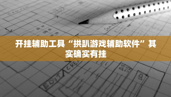 开挂辅助工具“拱趴游戏辅助软件”其实确实有挂