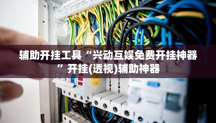 辅助开挂工具“兴动互娱免费开挂神器”开挂(透视)辅助神器