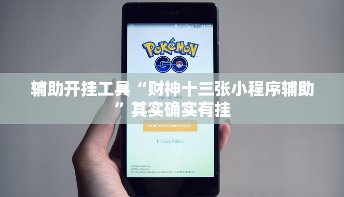 辅助开挂工具“财神十三张小程序辅助”其实确实有挂