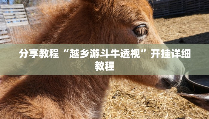 分享教程“越乡游斗牛透视”开挂详细教程