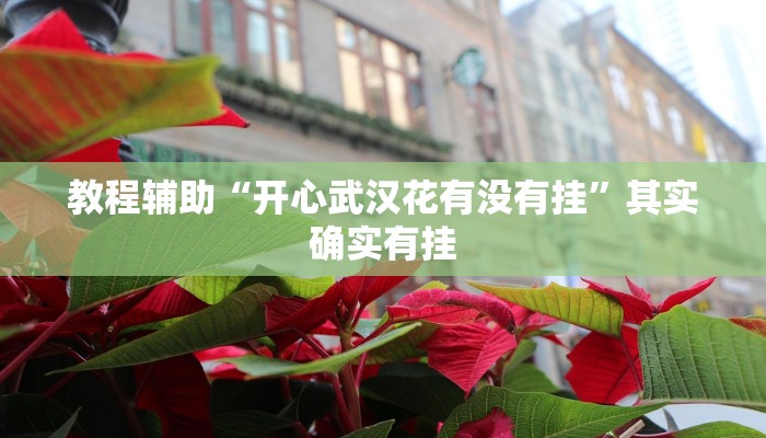 教程分享“小天九牌九可以开挂吗”(原来确实是有挂) 