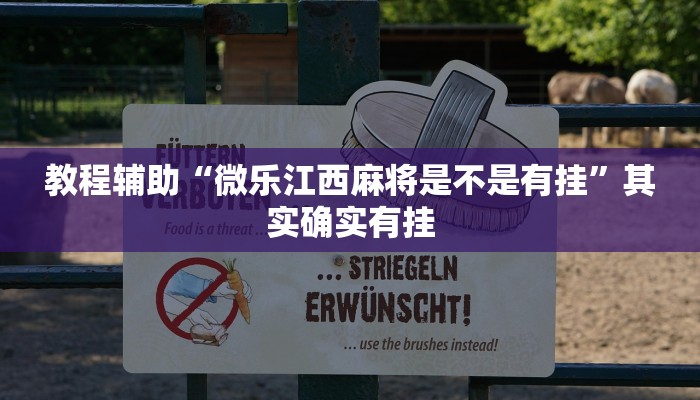 教程辅助“微乐江西麻将是不是有挂”其实确实有挂