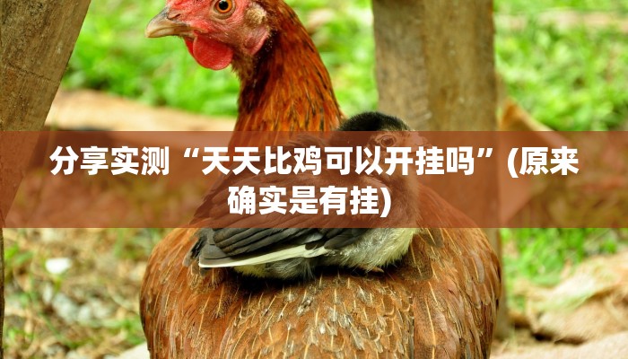 强力推荐“中至二人麻将开挂教程方法”揭秘透视辅助万能挂