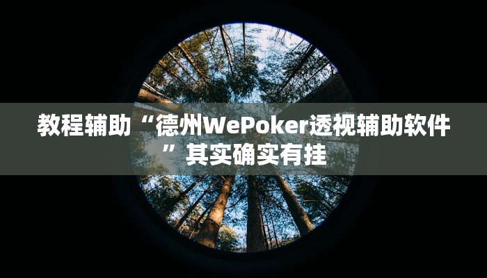 教程辅助“德州WePoker透视辅助软件”其实确实有挂 教程辅助“德州WePoker透视辅助软件”其实确实有挂