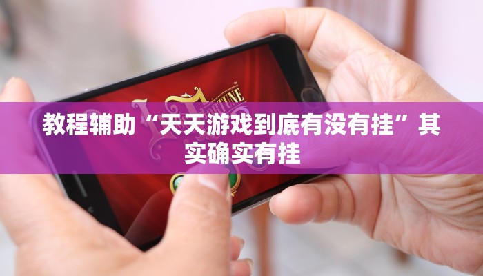 教程辅助“天天游戏到底有没有挂”其实确实有挂