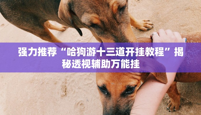 辅助开挂工具“人人燕赵麻将万能挂免费版”其实确实有挂