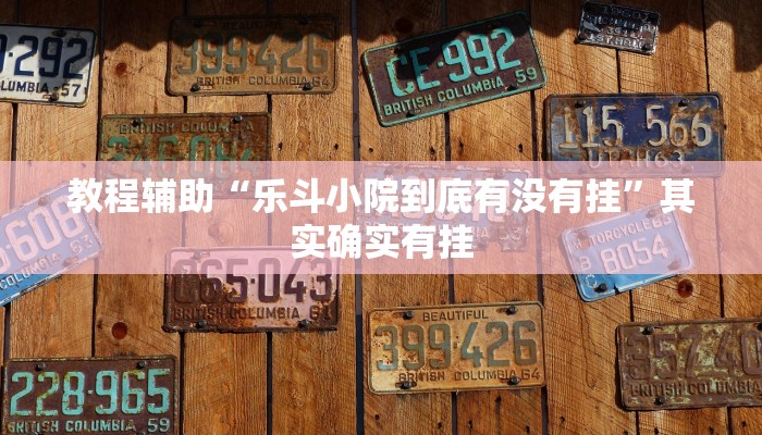 分享教程“郸城打枪有挂吗”开挂(透视)辅助神器