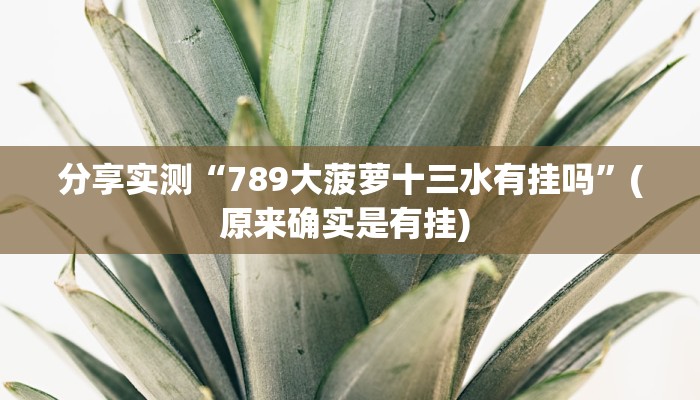 分享实测“西八一字牌辅助神器”揭秘透视辅助万能挂 分享实测“西八一字牌辅助神器”揭秘透视辅助万能挂