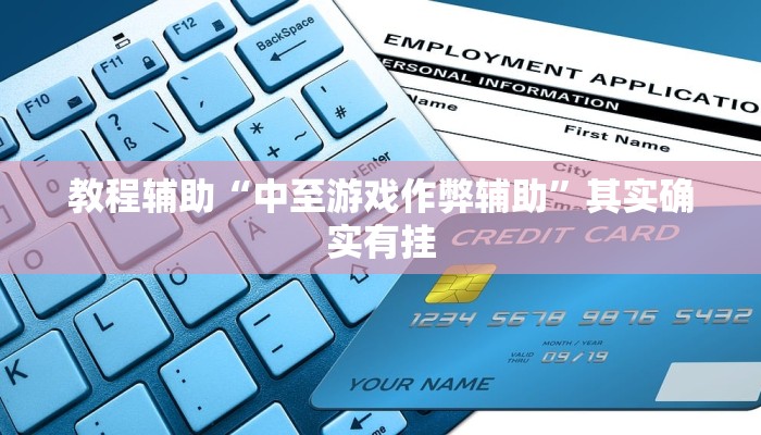 开挂辅助工具“边锋斗地主可以装挂吗”其实确实有挂