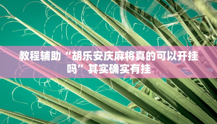 教程辅助“胡乐安庆麻将真的可以开挂吗”其实确实有挂