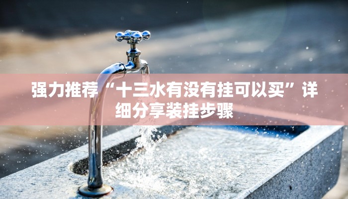 强力推荐“十三水有没有挂可以买”详细分享装挂步骤