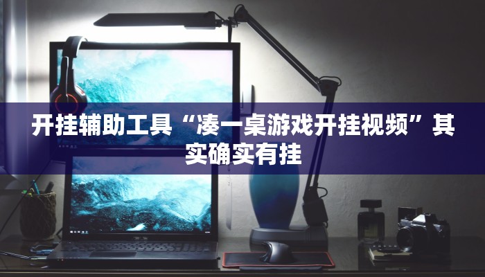 开挂辅助工具“凑一桌游戏开挂视频”其实确实有挂