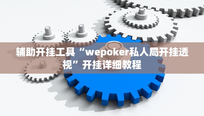 辅助开挂工具“wepoker私人局开挂透视”开挂详细教程