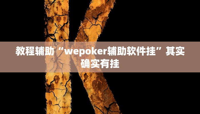 教程辅助“wepoker辅助软件挂”其实确实有挂