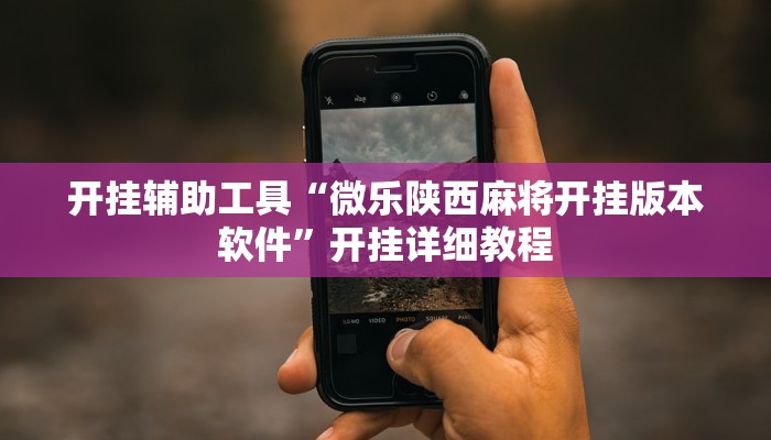 开挂辅助工具“微乐陕西麻将开挂版本软件”开挂详细教程