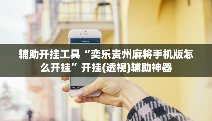 辅助开挂工具“奕乐贵州麻将手机版怎么开挂”开挂(透视)辅助神器