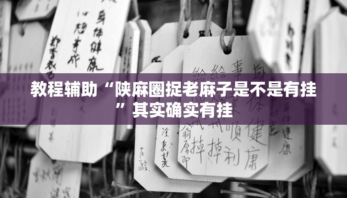教程辅助“陕麻圈捉老麻子是不是有挂”其实确实有挂