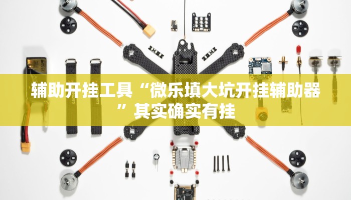 辅助开挂工具“微乐填大坑开挂辅助器”其实确实有挂