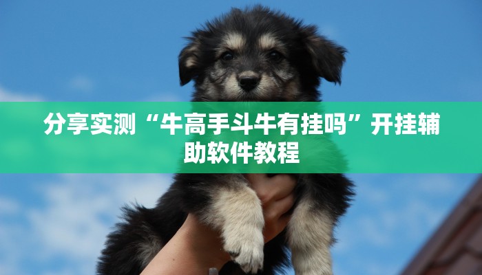 分享实测“牛高手斗牛有挂吗”开挂辅助软件教程