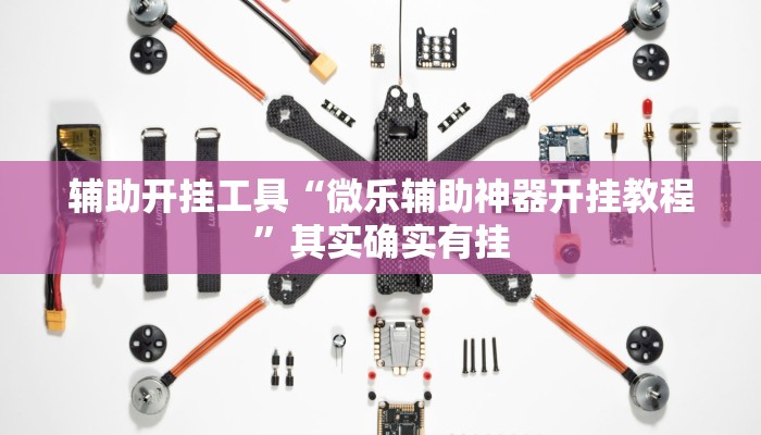 辅助开挂工具“微乐辅助神器开挂教程”其实确实有挂