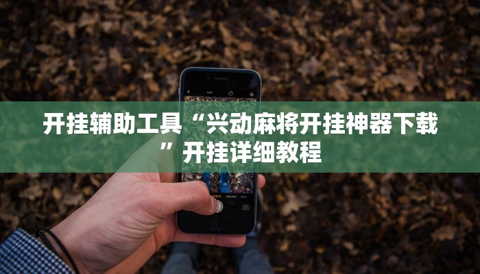 开挂辅助工具“兴动麻将开挂神器下载”开挂详细教程