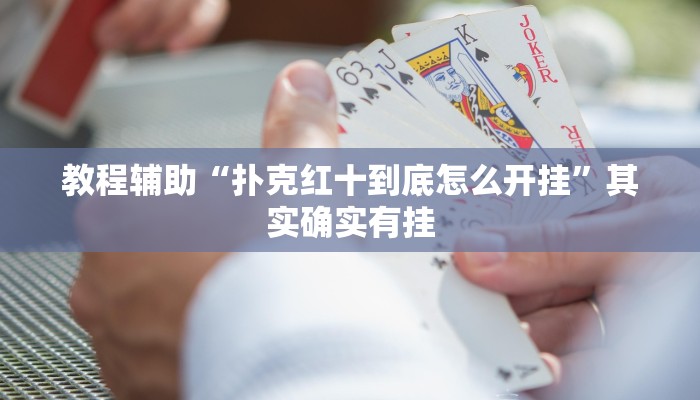 教程辅助“扑克红十到底怎么开挂”其实确实有挂