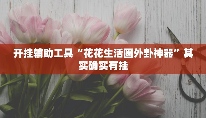 开挂辅助工具“花花生活圈外卦神器”其实确实有挂 开挂辅助工具“花花生活圈外卦神器”其实确实有挂