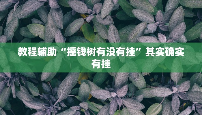 教程辅助“摇钱树有没有挂”其实确实有挂